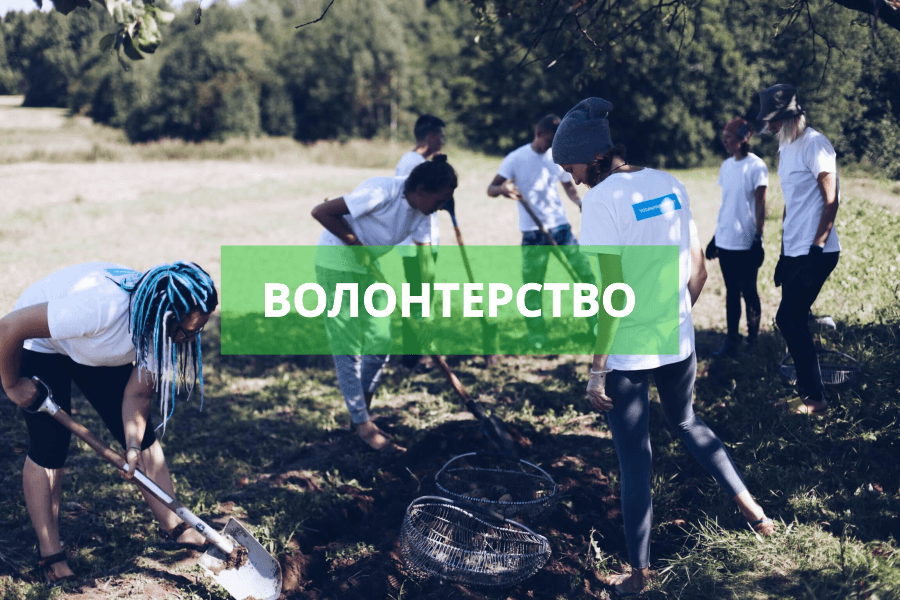 волонтерство обложка сайт